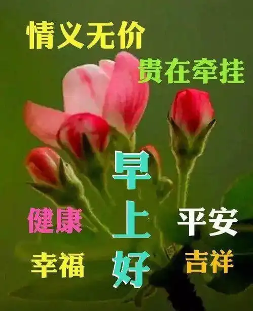 温馨的早上好祝福词句,带字祝福图片,新的一天,新的希望,早安