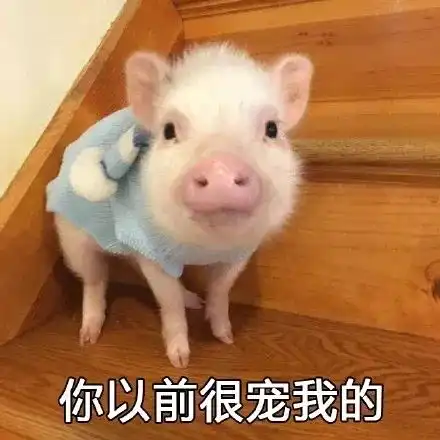 2019最火表情包大盘点今天你又用了哪个哈哈哈哈
