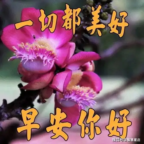周二早上好动态祝福祝你早安每一天,快乐珍藏在心间