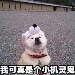 为什么女生的态度不明确