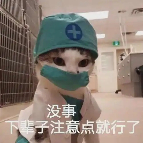 作死去吸猫pp,没想到被猫屁崩一脸