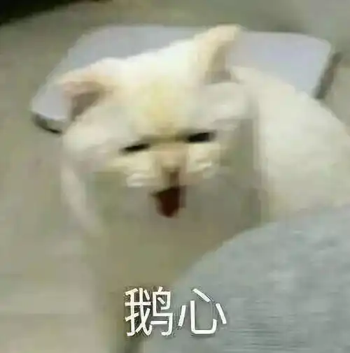 拿走这组的表情包,从此节操是路人表情包