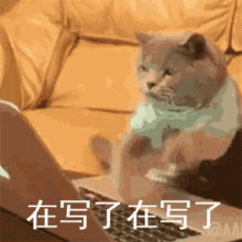 吐血巨制这批记者专用表情包太上头了