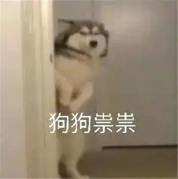 椅背盗贼听说过吗