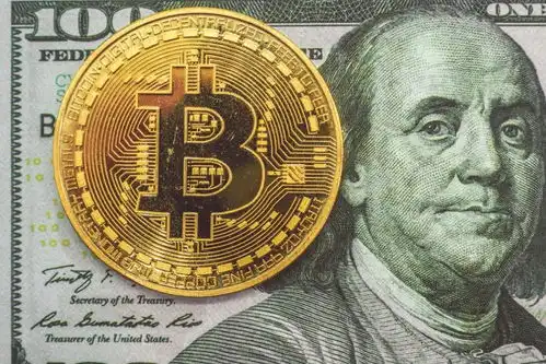 过度自信为什么交易比特币的人大多是30岁以下的男性