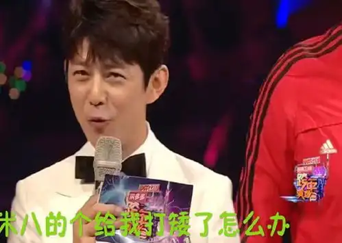 谢娜抢话何炅救场怎么回事谢娜回应抢话失误被指应变能力差