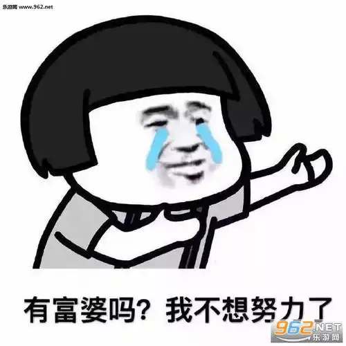 阿姨我不想努力了聊天图片阿姨我不想努力了聊天记录图片下载乐游网游戏下载