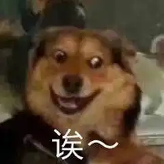 外国友人都推荐支付宝这些新功能,真的太强了