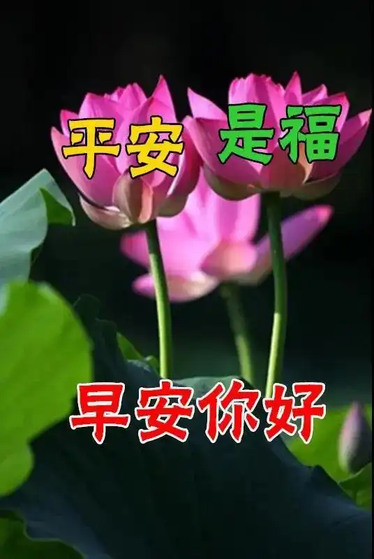 2021年5月11日星期二清晨早上好问候祝福动态表情图片周二最新早安免打字图片