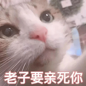 斗图表情包合集想谈恋爱了,大家快劝劝我