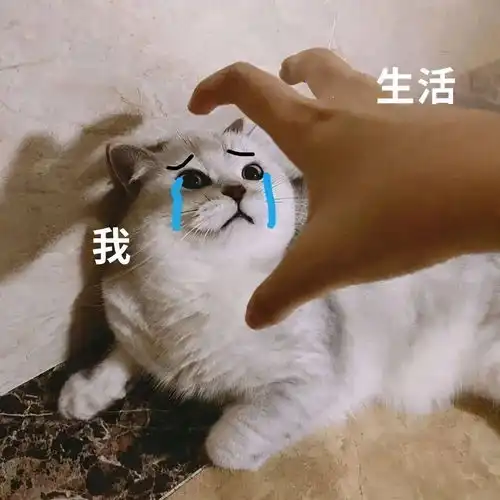 大学容易被误解的9大专业,爸妈是怎么介绍你专业的