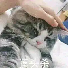 秋季祛斑黄金期当心这4个斑脚石