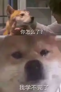 考试周来临没复习的你还犹豫什么点进来