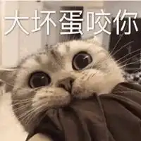卖萌撒娇表情包微信头像图片大全