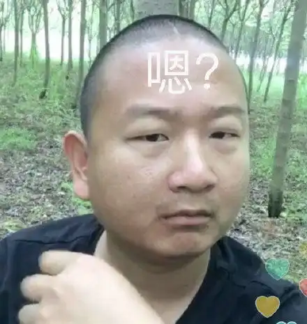 请您发红包狗狗拜年表情包过年要红包表情包