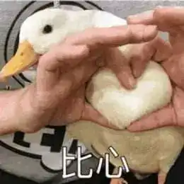 好消息成都地铁5号线来啦开通时间途经站点都定了,搞快了解一下