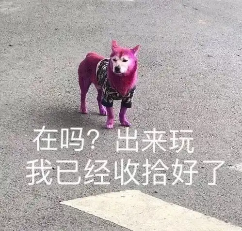 追星鹅们有没有因为和长辈存在代沟而发生一些趣事...