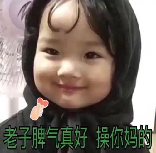 e句话看天下听我不是黄蓉把杨蓉打成王蓉这解释太新鲜了