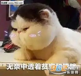 得找点什么图才能显示我的风趣图片无奈中透着贫穷和肥胖表情包下载乐游网游戏下载
