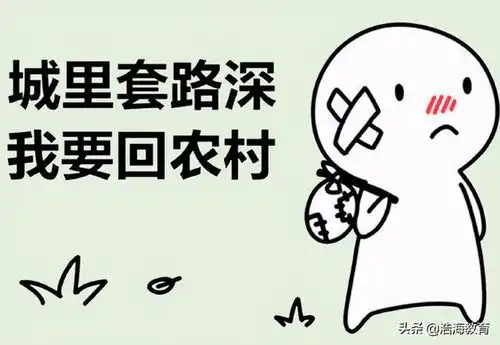 高学历和低学历的人可以在一起吗
