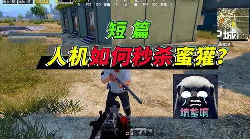 突击手蜜獾正式露脸,载具贴膜第一人,水友赛更是有趣