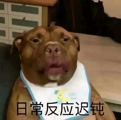 小故事