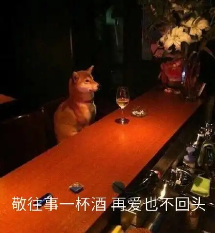 单身柴犬表情包