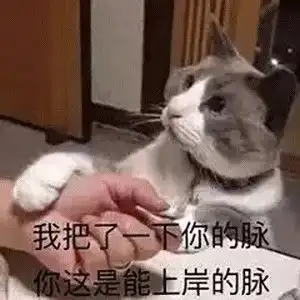 表情包情感,是刺客的第一大忌