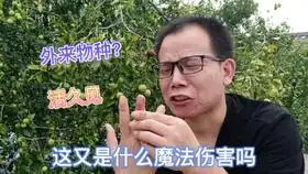 表情包加特殊符号学会了,别人经常回复的符号,好学多问