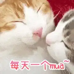 有没有给女朋友亲亲的表情包