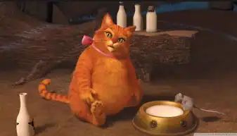 有一只猫减肥七年一斤没瘦喵我这是胖着玩玩