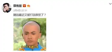 重播了n遍的还珠格格又上了热搜尔康表情包有了新用途
