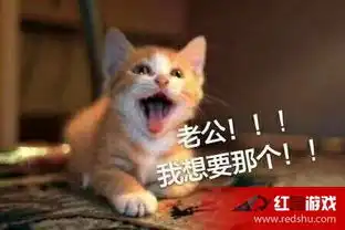 猫喊老公表情包无水印完整版图片大全猫喊老公表情包完整版免费分享