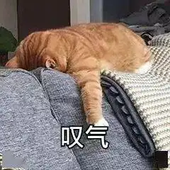 婚礼名场面预警,果然是一生一次需要铭记的经历啊