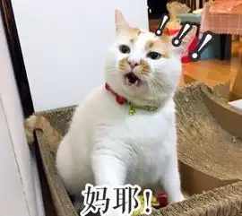 李现王紫璇恋情曝光刚被传,绯闻女友就辟谣了