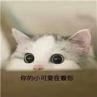 小仙女撒娇萌猫表情包可爱大全仙女聊天必备萌猫表情包