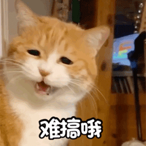 表情包试图撒娇