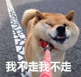 搞笑段子爆笑剧场,熊孩子在家里人面前的称呼