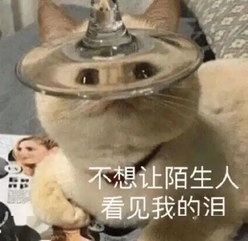 单身狗必备表情包美女只能孤芳自赏