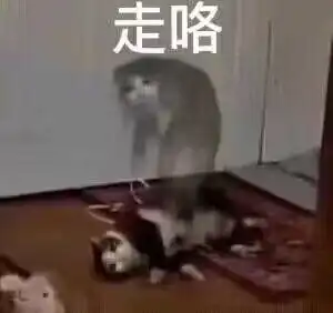 我的女儿就要死了,所以你能不能给我点个赞