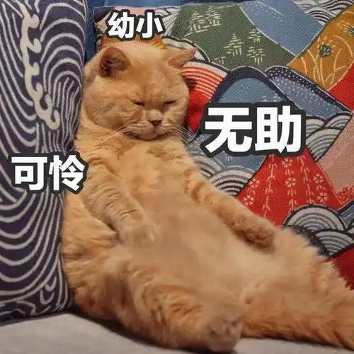 老板,我想跟你说一件事儿...