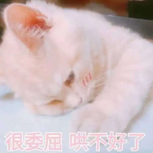 你可能是个营养不良的胖子你可能被螨虫困扰着注意