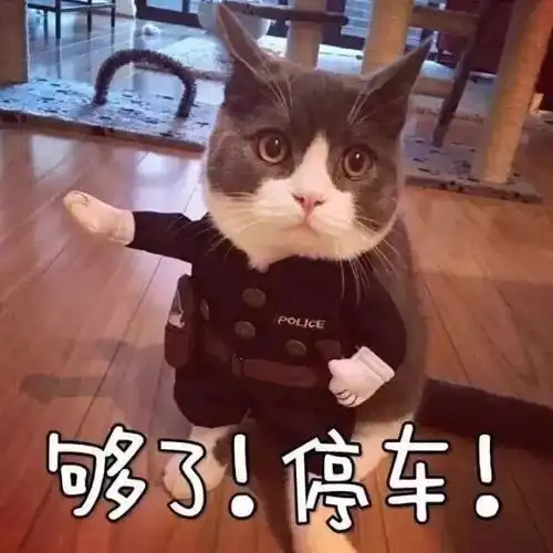 4月最新电影清单除了,还有哪些烂片