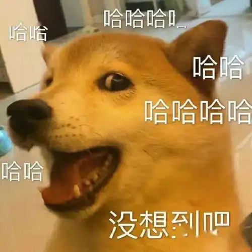 水吧区虽不是家居必须功能区,却最能影响一个家的生活品质