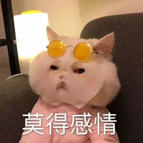 我的收藏