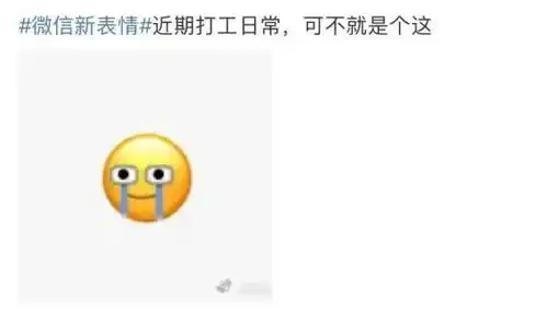这个裂了裂了爱了爱了