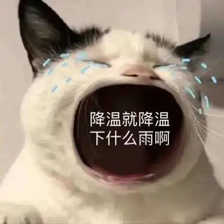 刚刚深圳寒冷预警升级为橙色,最低6