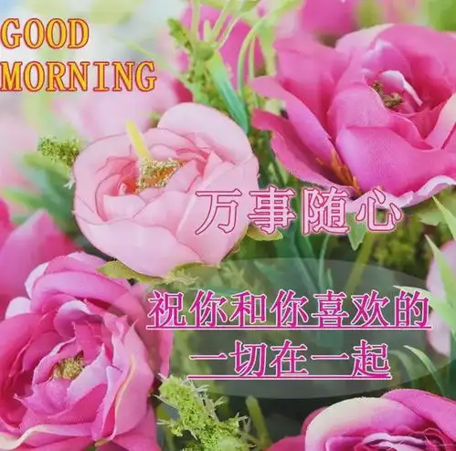 早安清晨的第一缕阳光和第一声鸣叫,如何为你送上温暖与快乐