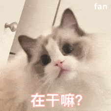 沙雕可爱表情包就是要跟憨宝一起用