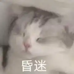 哈哈哈哈哈哈